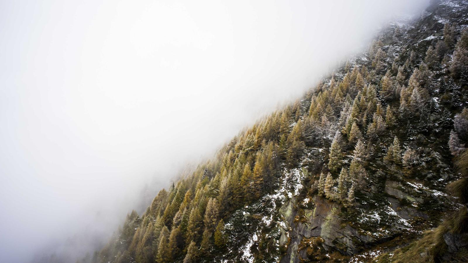 Інфляція сповільнилася попри економічні виклики