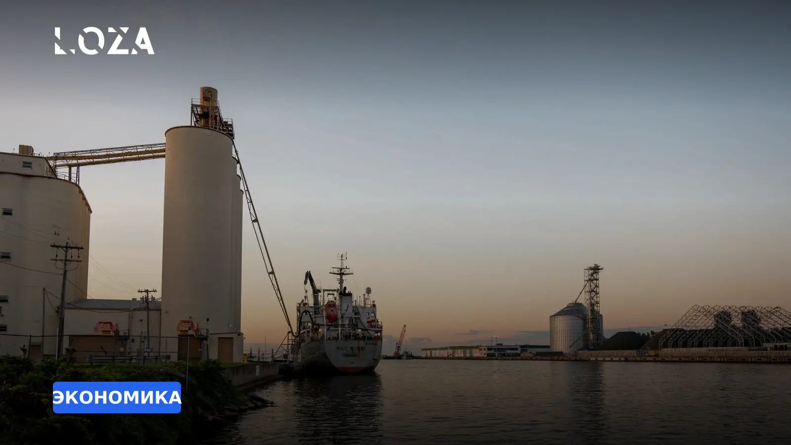 Латвия срочно вводит контроль зерна из-за угрозы экспорта украденных украинских ресурсов