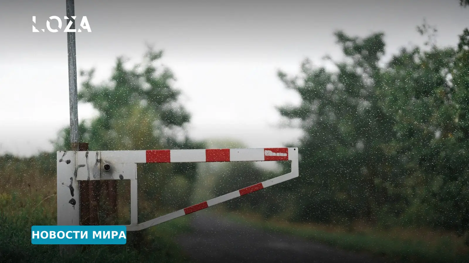 Туск: Польша экстренно эвакуировала два погранперехода из-за ударов РФ