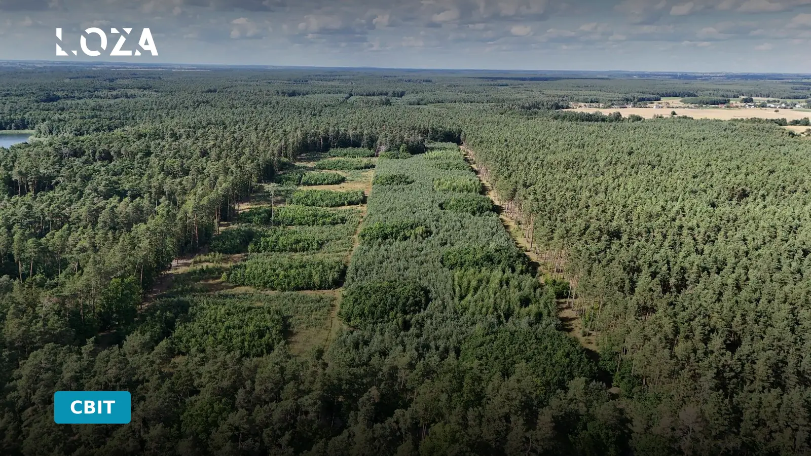 Туск заявив про ризик поширення російської ескалації на Польщу