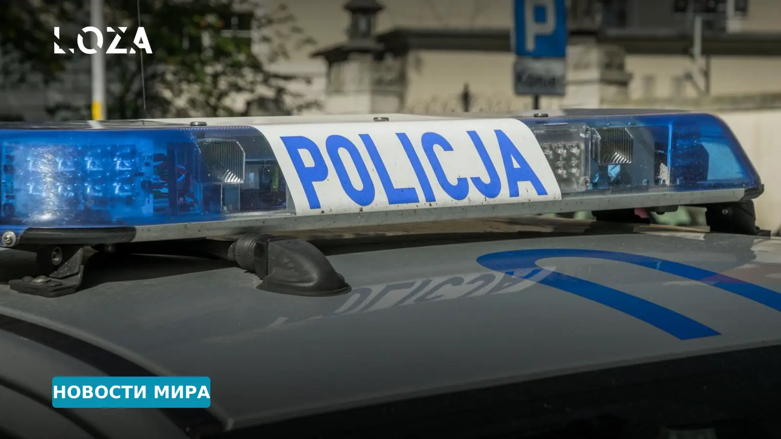 Безопасность под усиленным контролем: в Польше задержали 76 человек из-за волны нападений в школах
