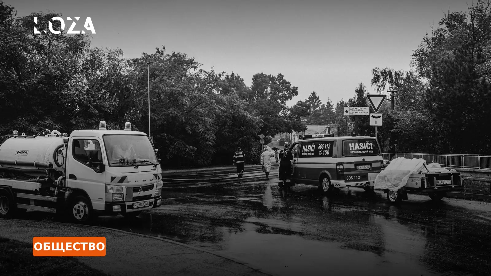 Прохожие спасли двух детей от рук матери в районе Чертаново