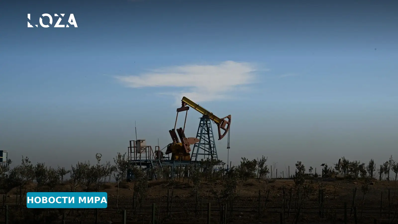 Рынок нефти остывает: почему цены упали после сентябрьского скачка