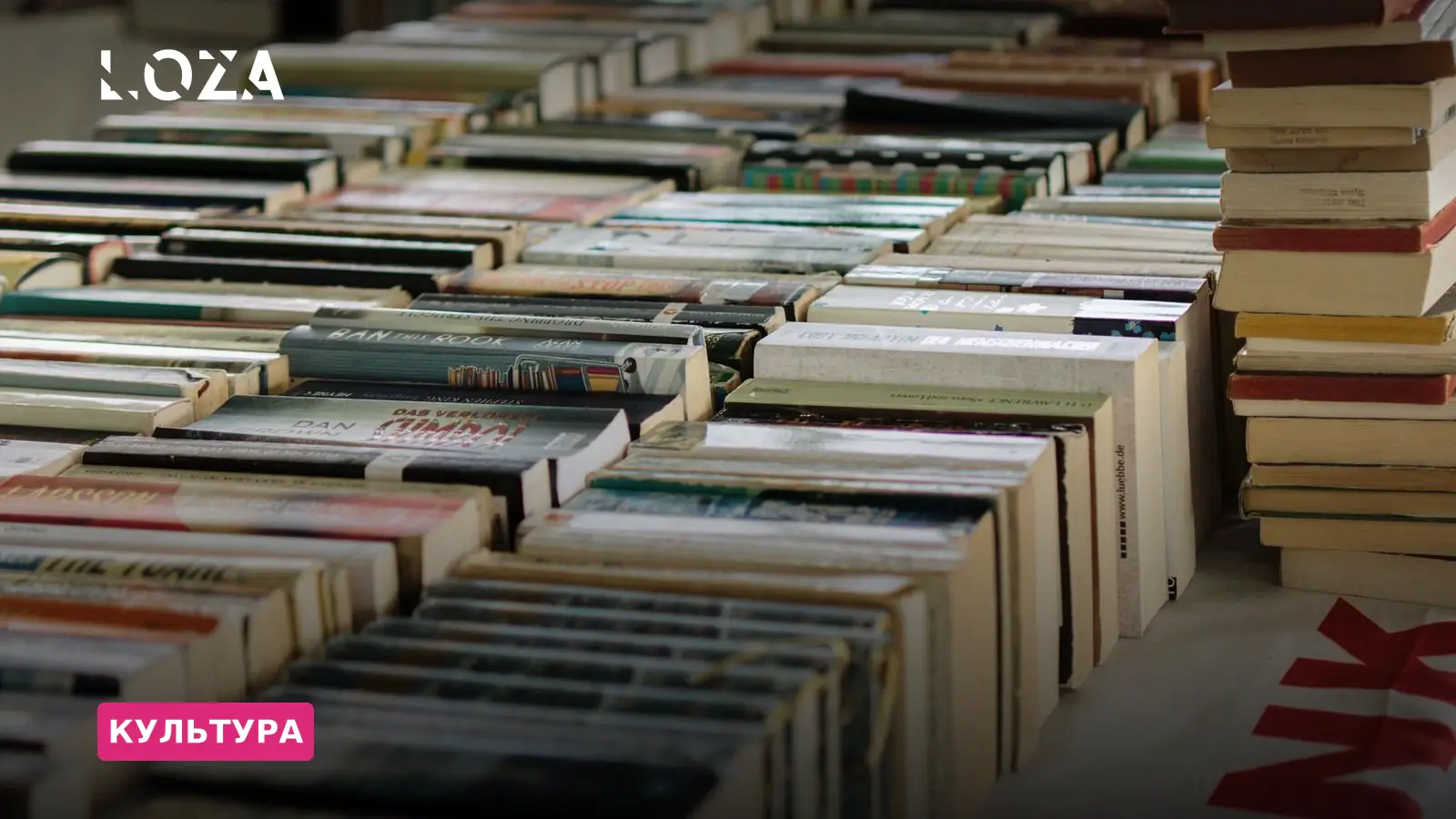 Свідчення крізь вогонь: обпалені харківські книжки стали частиною інсталяції у Франкфурті